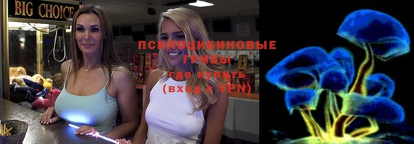 амф Бородино