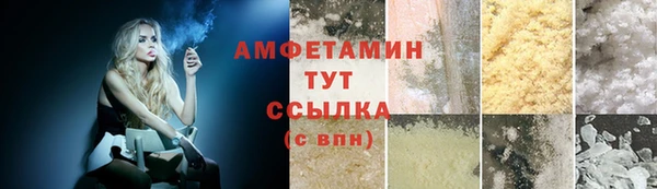 амф Бородино