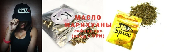 амф Бородино