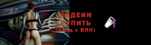 амф Бородино