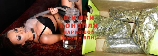 амф Бородино
