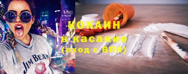 амф Бородино